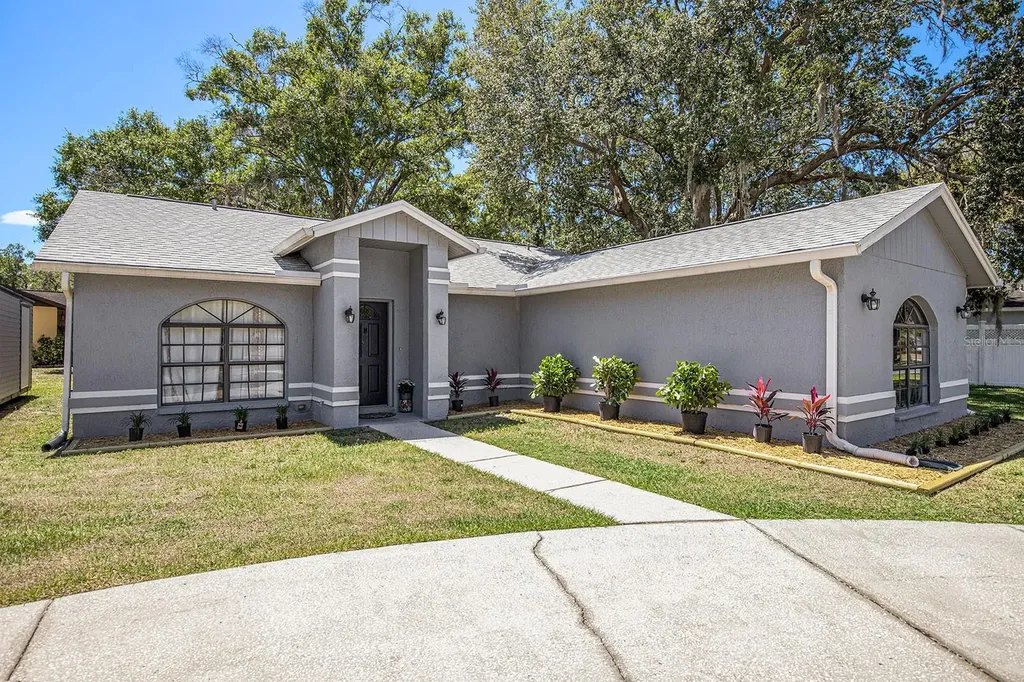2705 Kristi Court Land O Lakes FL 34639