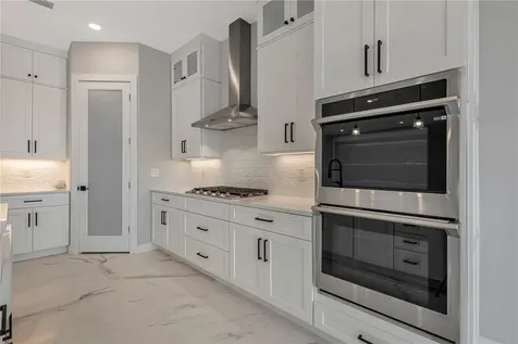 8831 Ivy Stark Boulevard Wesley Chapel FL 33545