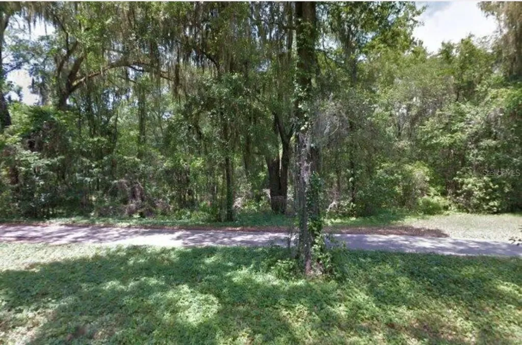 1508 NW 154th Street Newberry FL 32669