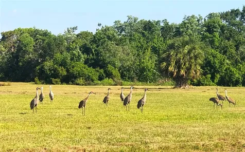 2486 Ranch Club Boulevard Myakka City FL 34251
