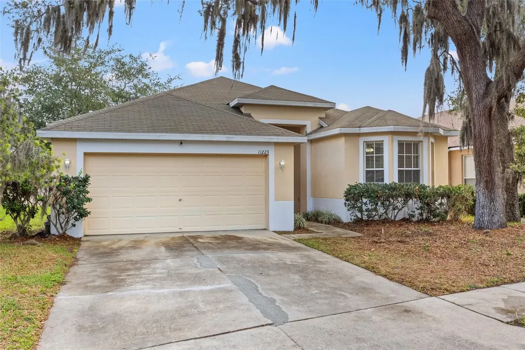 11223 Avery Oaks Drive Tampa FL 33625
