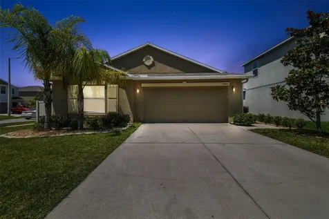 10002 Crested Fringe Drive Riverview FL 33578