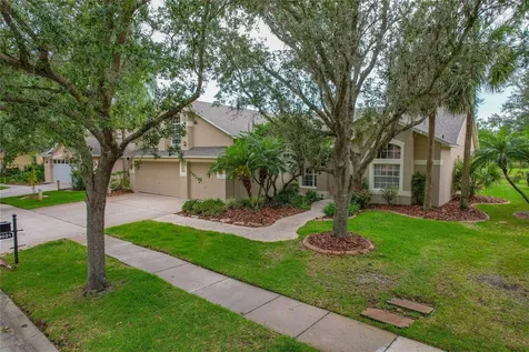 19021 Dove Creek Drive Tampa FL 33647