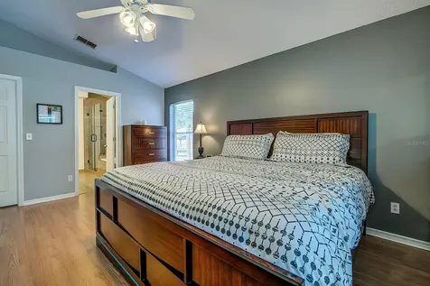 29235 Yarrow Drive Wesley Chapel FL 33543