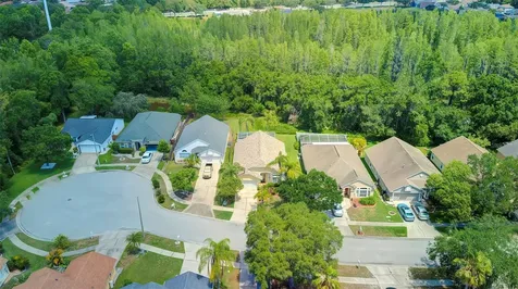29235 Yarrow Drive Wesley Chapel FL 33543