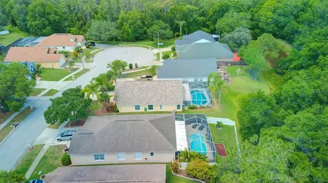 29235 Yarrow Drive Wesley Chapel FL 33543