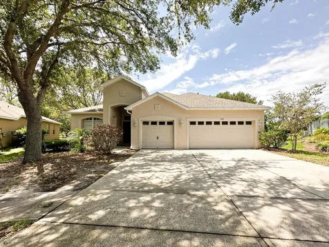 5818 Heronrise Crescent Drive Lithia FL 33547