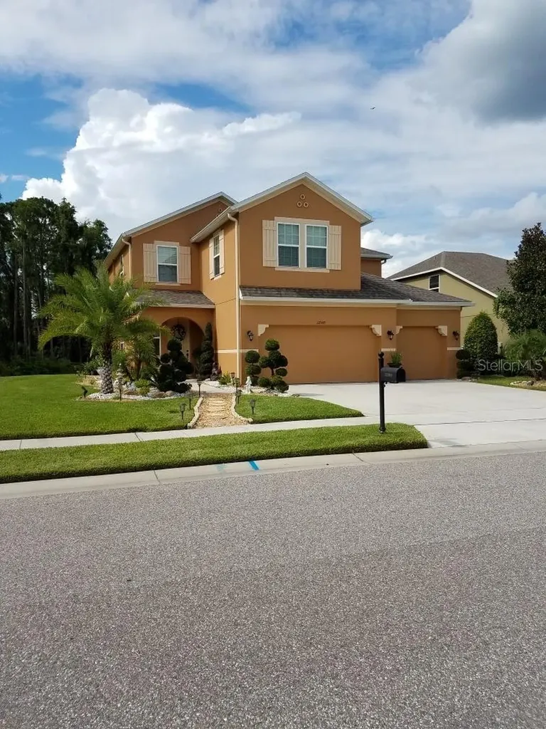 22909 Wood Violet Court Land O Lakes FL 34639