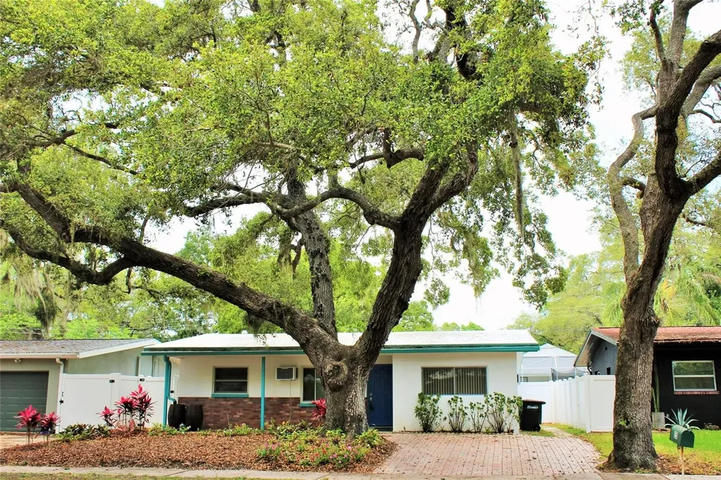 25 Joyce Street Safety Harbor FL 34695