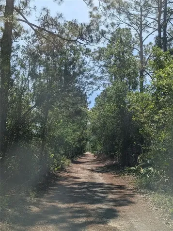 618 Mandarin Street Lake Placid FL 33852