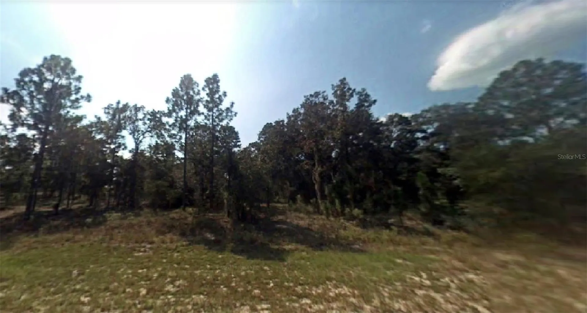 SE 129th Court Dunnellon FL 34431