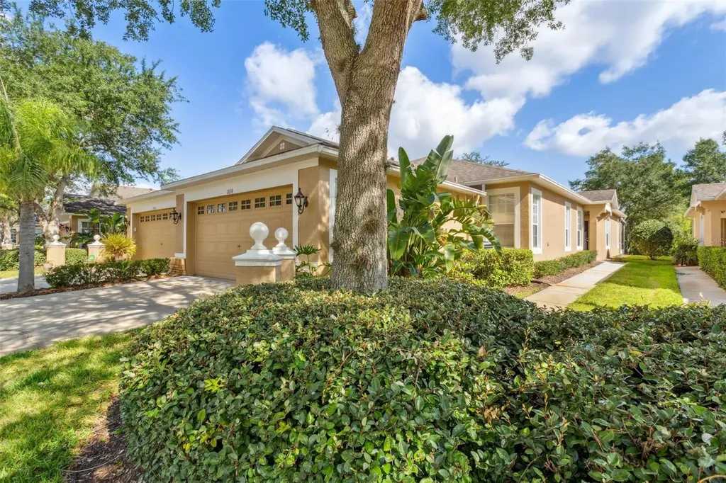 19174 Lake Audubon Drive Tampa FL 33647