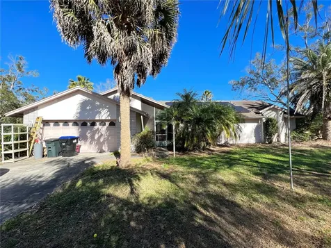 4513 Lake Zack Court Mount Dora FL 32757