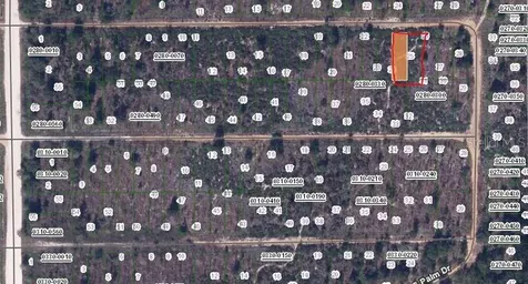 00 Cherry Street Interlachen FL 32148