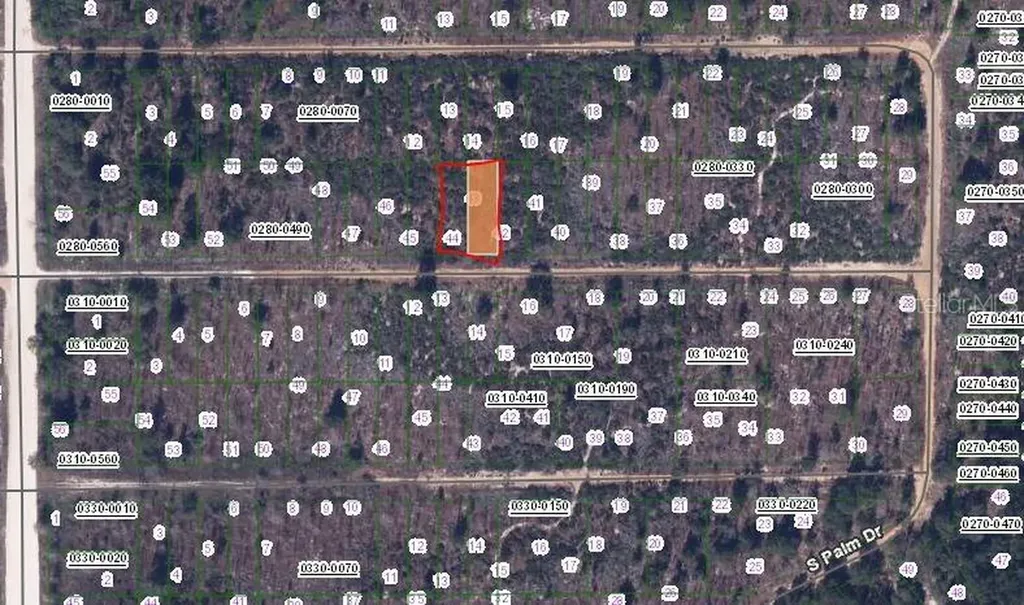 224 Birch Street Interlachen FL 32148