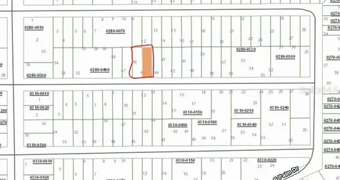 Birch Street Interlachen FL 32148
