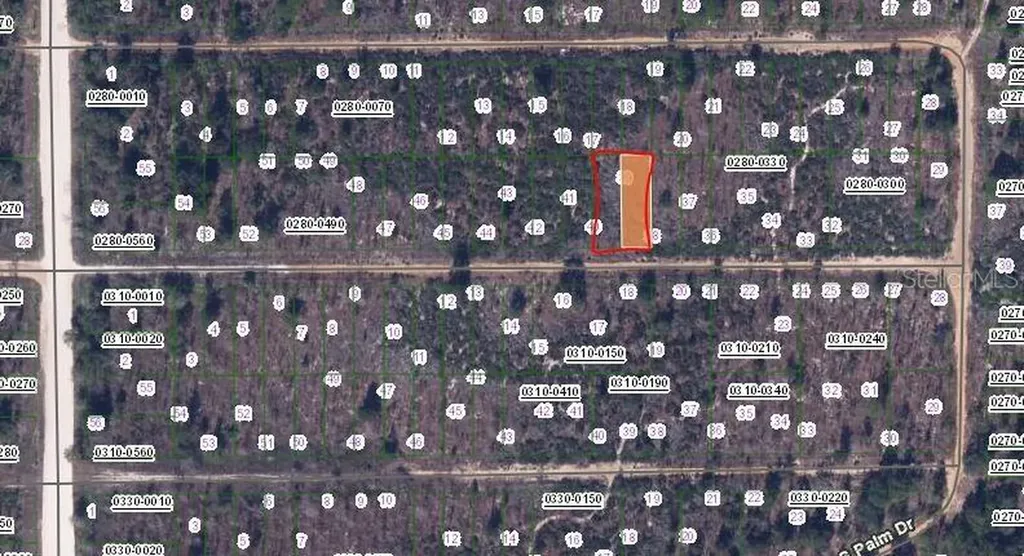 00 Birch Street Interlachen FL 32148