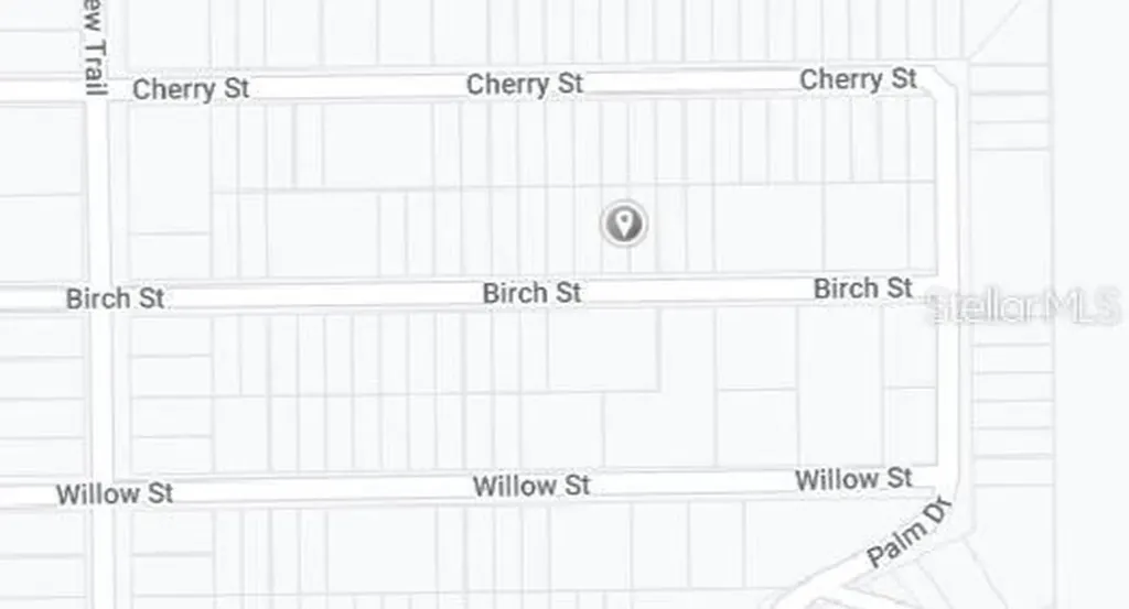 00 Birch Street Interlachen FL 32148
