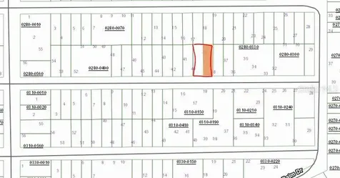 00 Birch Street Interlachen FL 32148