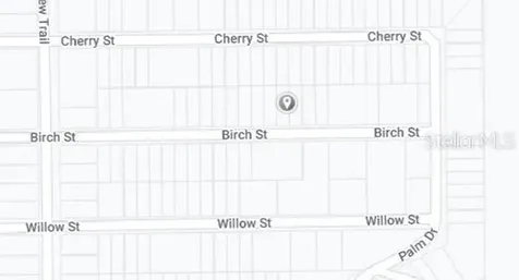 00 Birch Street Interlachen FL 32148