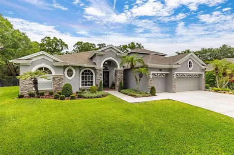 2246 Climbing Ivy Drive Tampa FL 33618