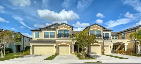 11437 Crowned Sparrow Lane Tampa FL 33626
