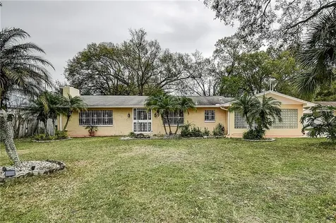 8315 N Gomez Avenue Tampa FL 33614