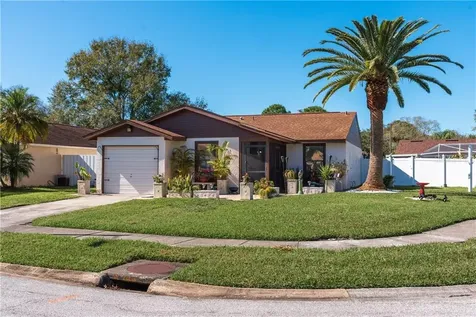 220 Lake Charles Court Oldsmar FL 34677