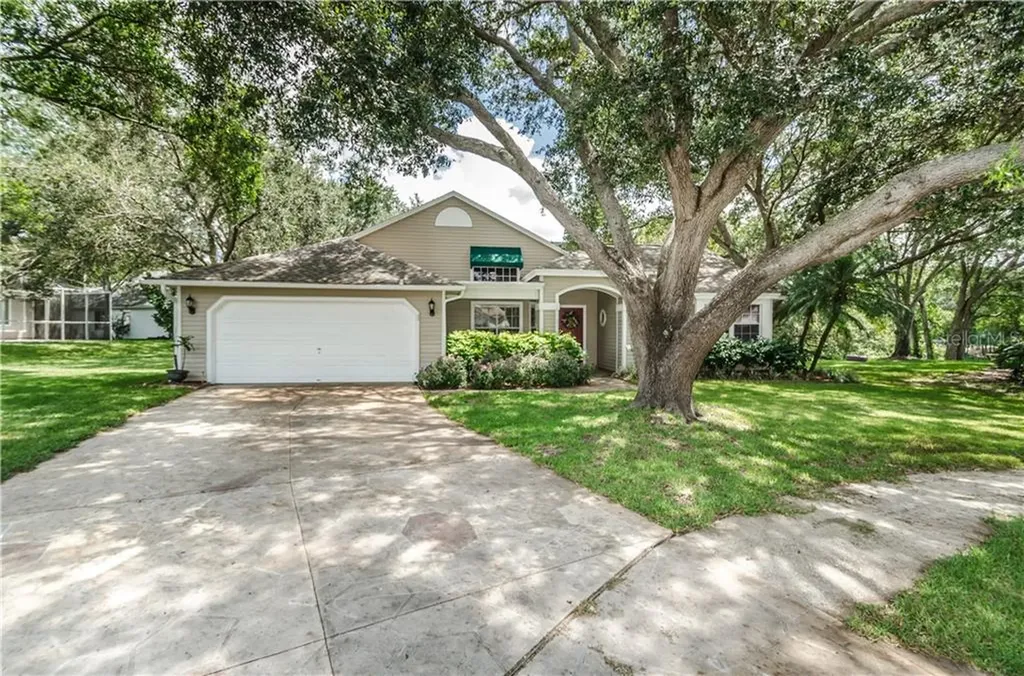 975 Valley View Circle Palm Harbor FL 34684