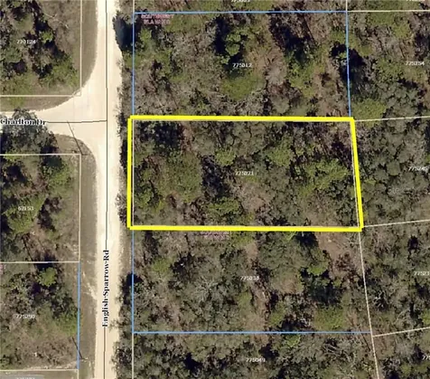 14370 English Sparrow Road Weeki Wachee FL 34614