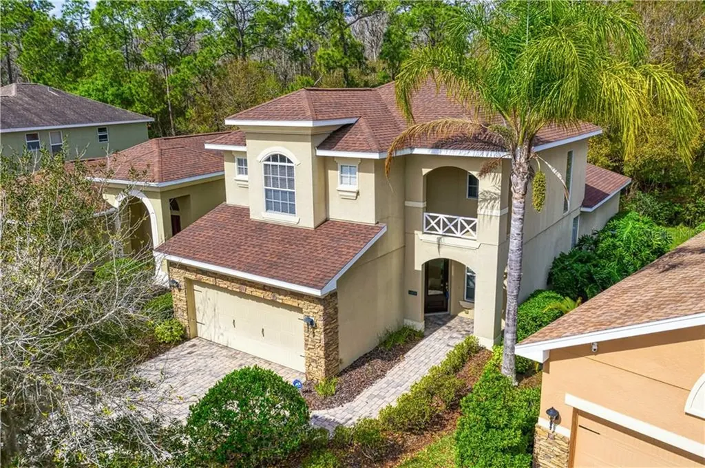 16078 Bella Woods Drive Tampa FL 33647