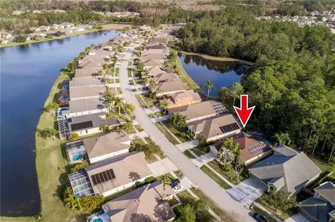 12742 Tar Flower Drive Tampa FL 33626