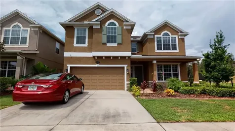 19313 Water Maple Drive Tampa FL 33647