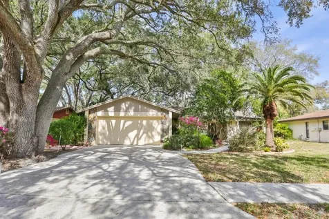 3615 Arlington Oaks Court Tampa FL 33618