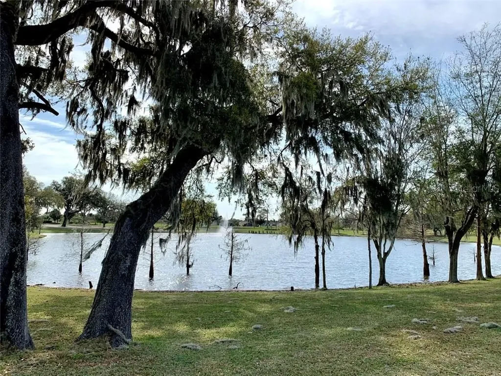 15319 SW 14th Avenue Road Ocala FL 34473