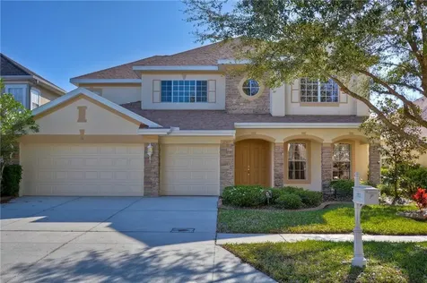 17813 Arbor Creek Drive Tampa FL 33647