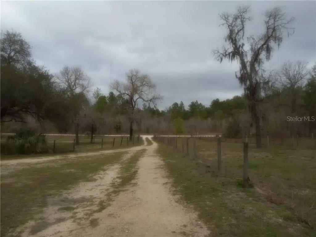12450 SE 58th Lane Morriston FL 32668