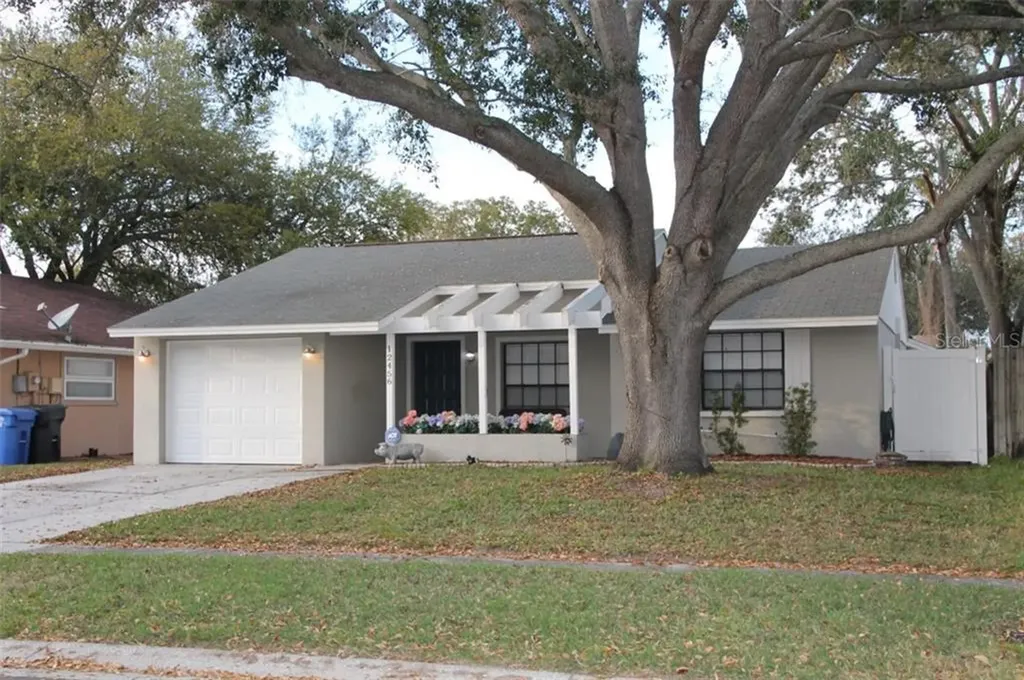 12456 Mondragon Drive Tampa FL 33625