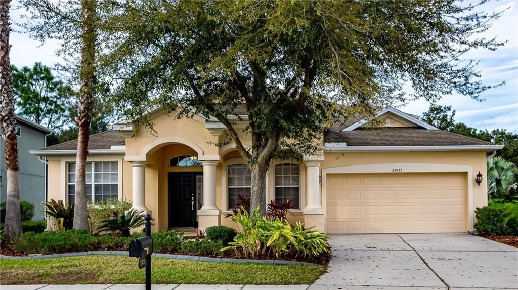 27435 Silver Thatch Drive Wesley Chapel FL 33544
