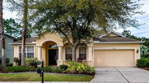 27435 Silver Thatch Drive Wesley Chapel FL 33544