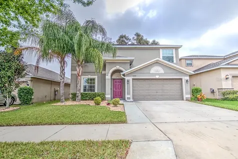 10424 Summer Azure Drive Riverview FL 33578