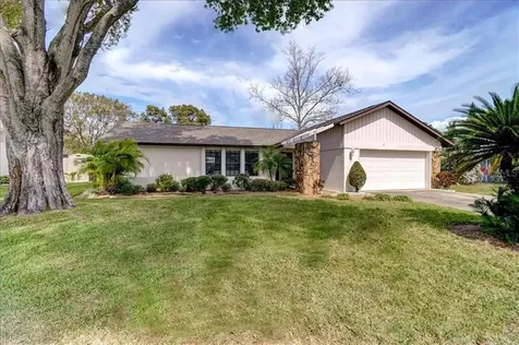 2819 Paddock Drive Palm Harbor FL 34684