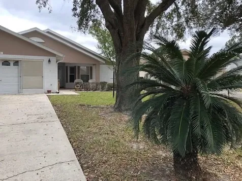 9041 SW 91st Circle Ocala FL 34481