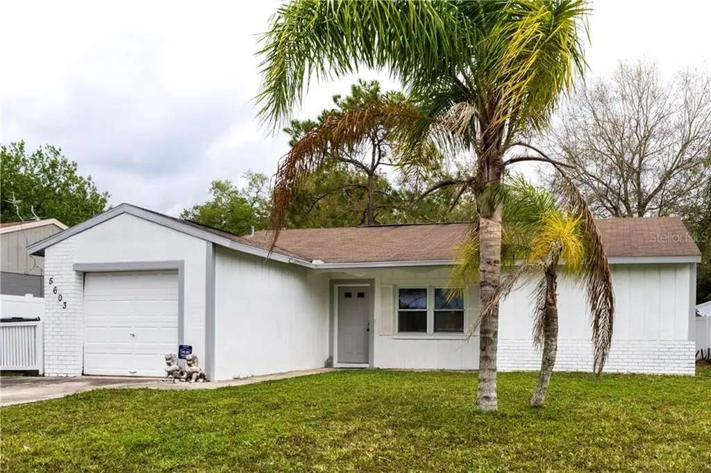 5603 Carrollwood Meadows Drive Tampa FL 33625