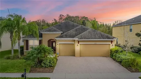 22702 Cherokee Rose Place Land O Lakes FL 34639