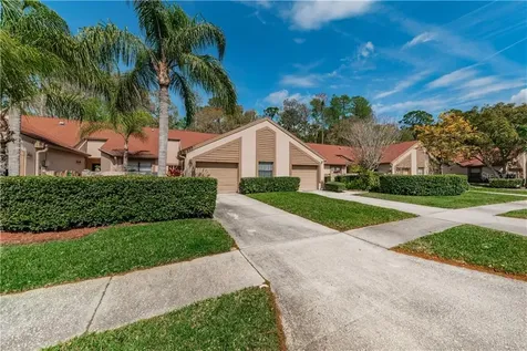4029 Mermoor Court Palm Harbor FL 34685