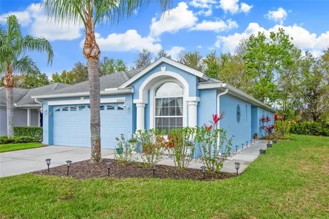 6505 Gentle Ben Circle Wesley Chapel FL 33544