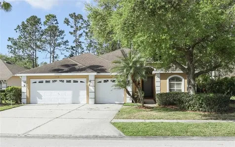 12508 Leatherleaf Drive Tampa FL 33626