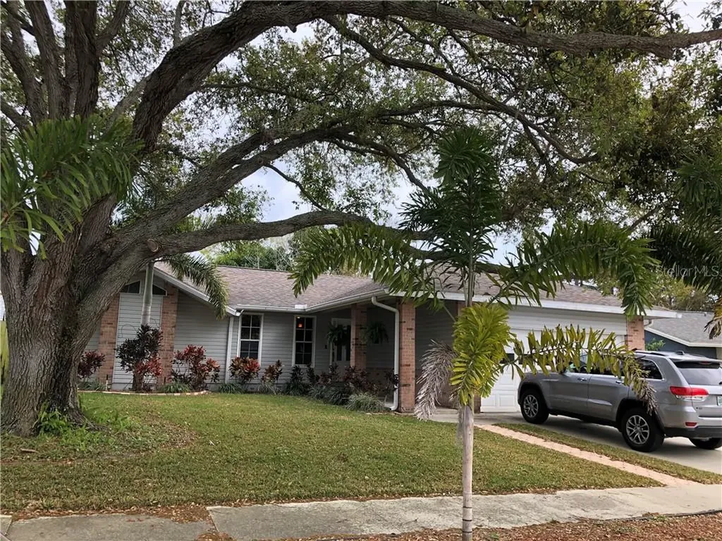 4781 Innisfil Street Palm Harbor FL 34683