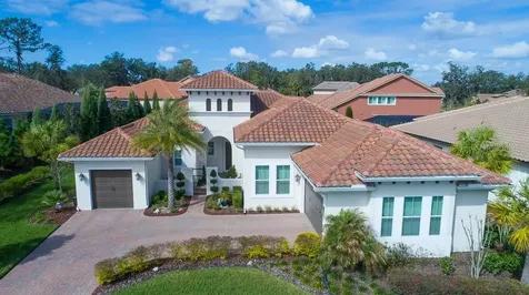 15305 Fishhawk Preserve Drive Lithia FL 33547
